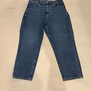American Eagle Outfitters Relaxed Fit Denim Jeans